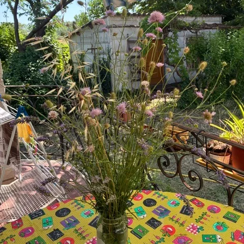 Photo d’Emilienne LACOMBE